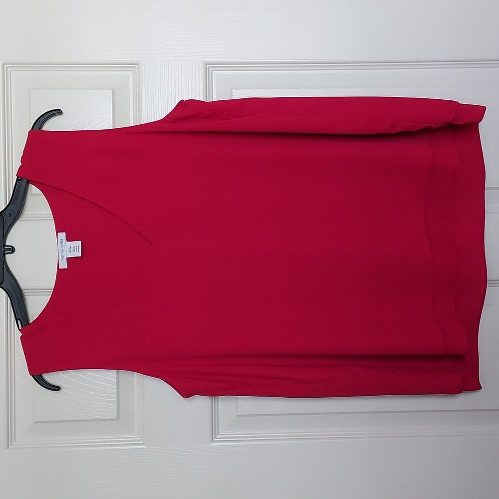 Ladies V neck sleeveless top.